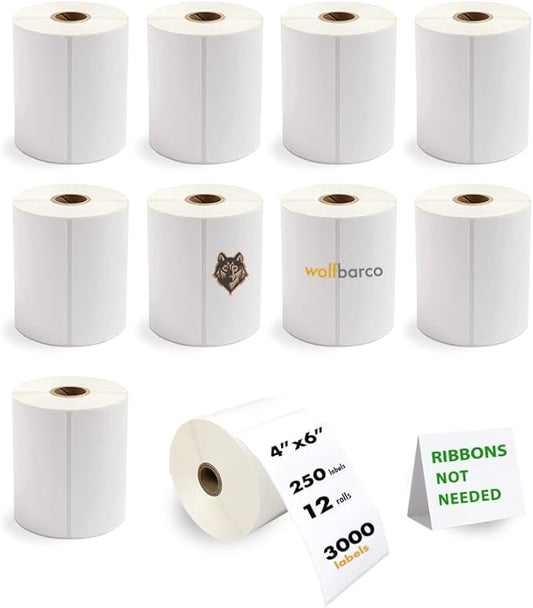 10 Rolls (2500 Labels) Direct Thermal Paper Shipping Label Industrial Grade 4" x 6", with Perforation, 1" Core, 4" OD, 250 Labels per Roll - White, Compatible with Zebra, Godex and Other Printers